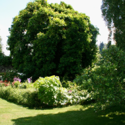 Entretien de Jardin Annuel pour une Beauté Durable Brunoy